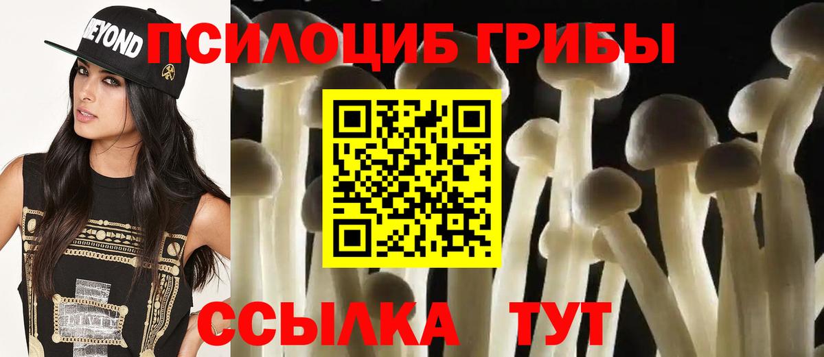 Галлюциногенные грибы GOLDEN TEACHER Кудымкар