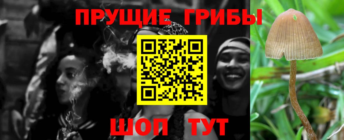 Галлюциногенные грибы Psilocybine cubensis  Галлюциногенные грибы ЛСД  Кудымкар  Вход с VPN 
